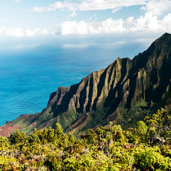 Hawaiian coastline with lush green cliffs and blue ocean, representing client travel experiences.