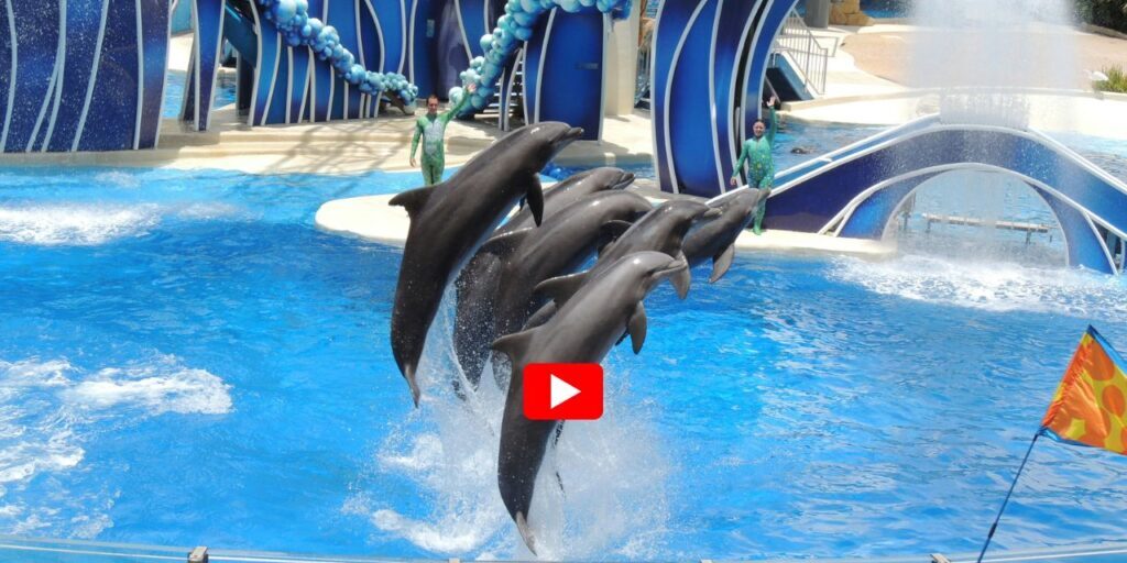 SeaWorld-thumb