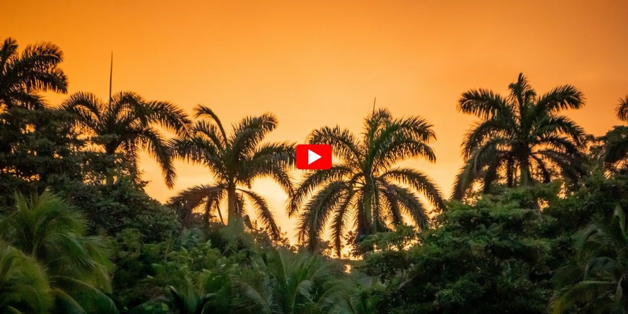 jamaica thumb